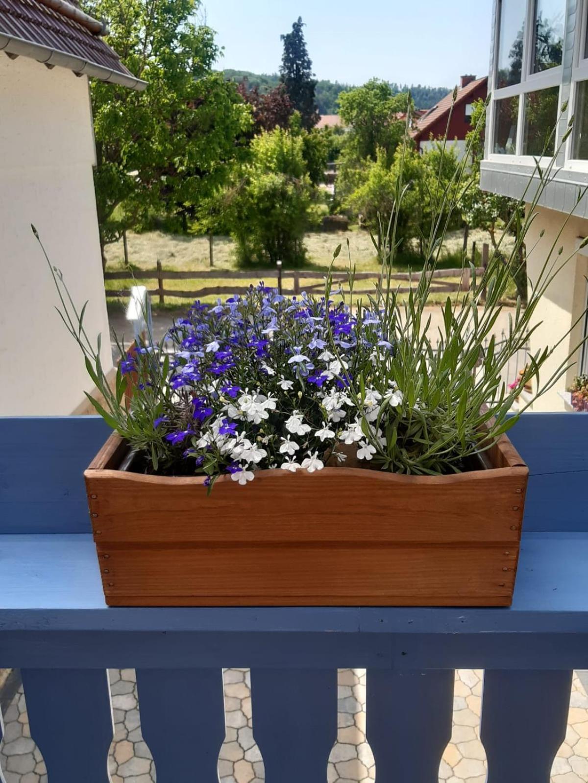 Ferienhaeuser Preuss Ferienhaus *